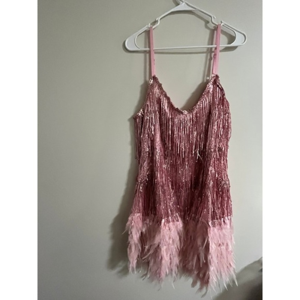 Pink Sequin Fringe Feather Trim Mini Dress Party Festival Flapper Style
